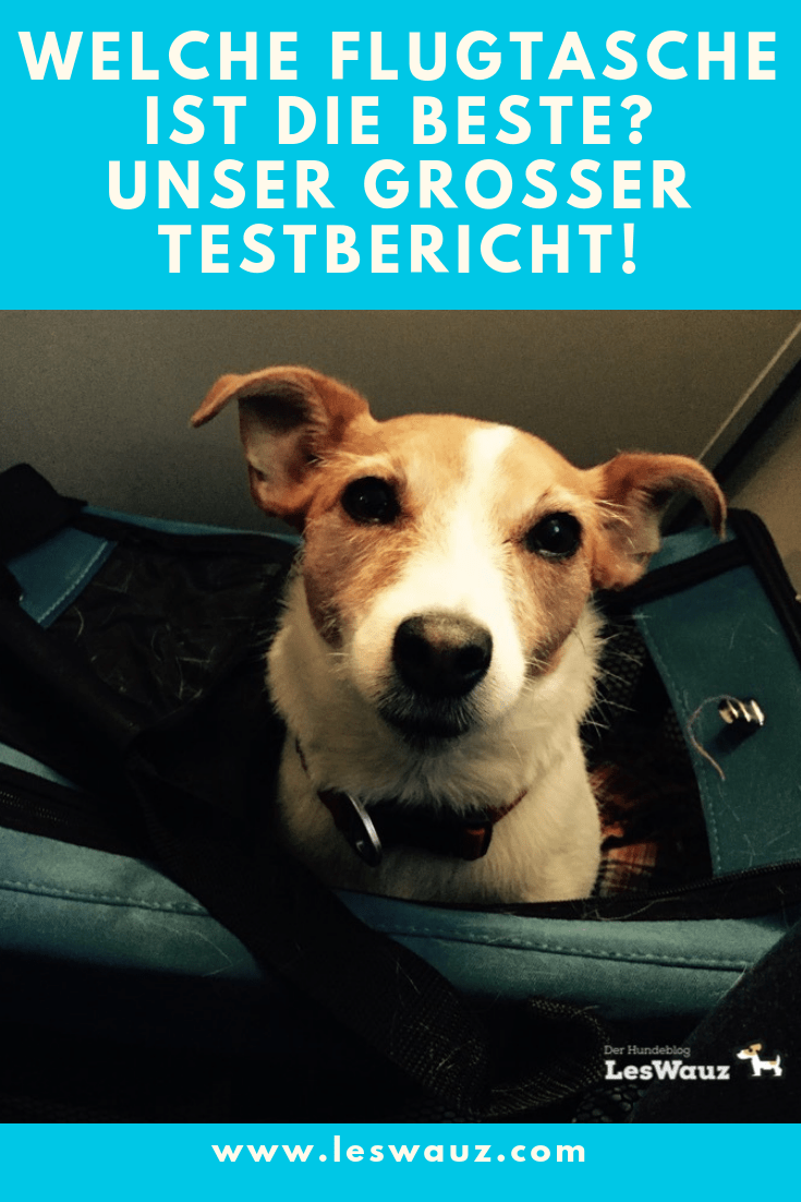 Hunde Flugzeugtasche