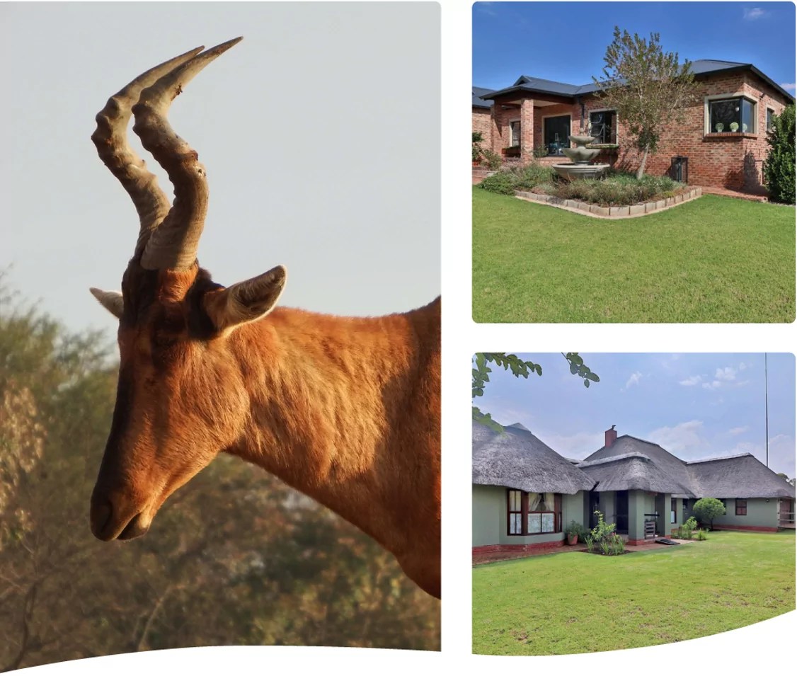 About Letamo Letamo Game Farm