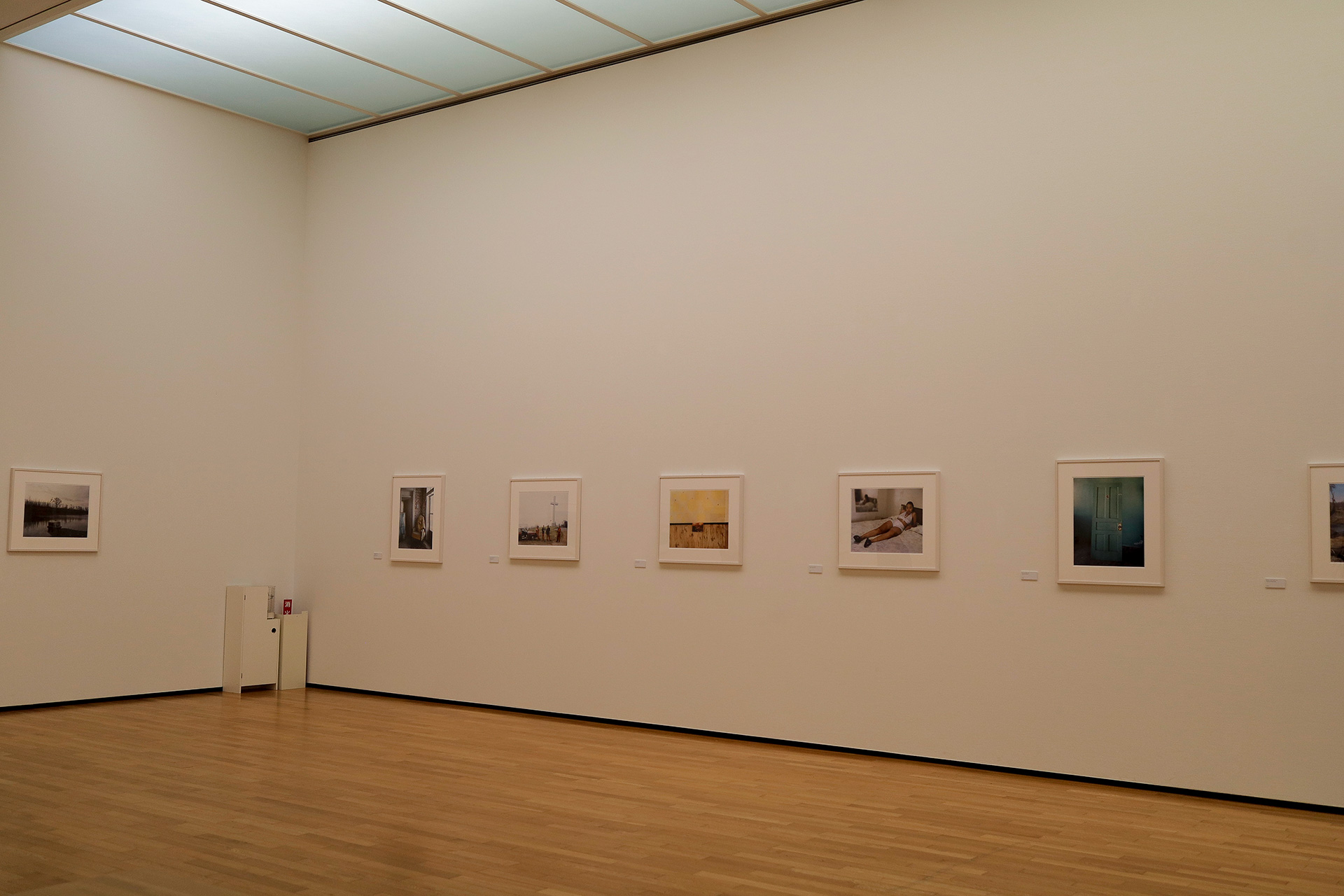 アレック・ソス Gathered Leaves」神奈川県立近代美術館 葉山