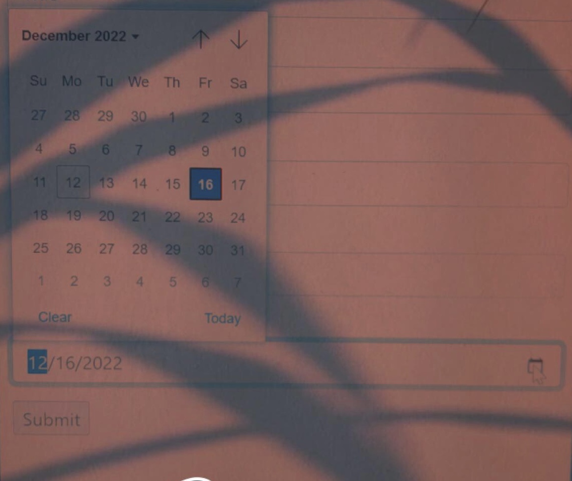 How to add date input widget in django forms