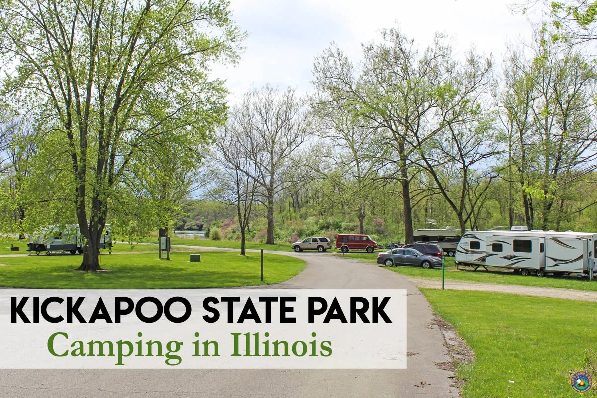 Are Dogs Allowed At Lakeside State Park Campground