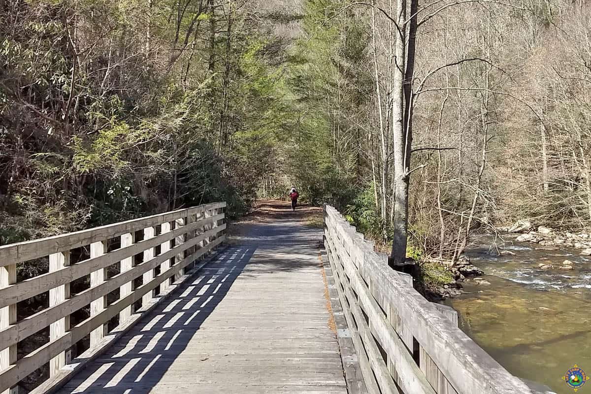 Virginia Creeper Trail Bike Rentals and Shuttle Review