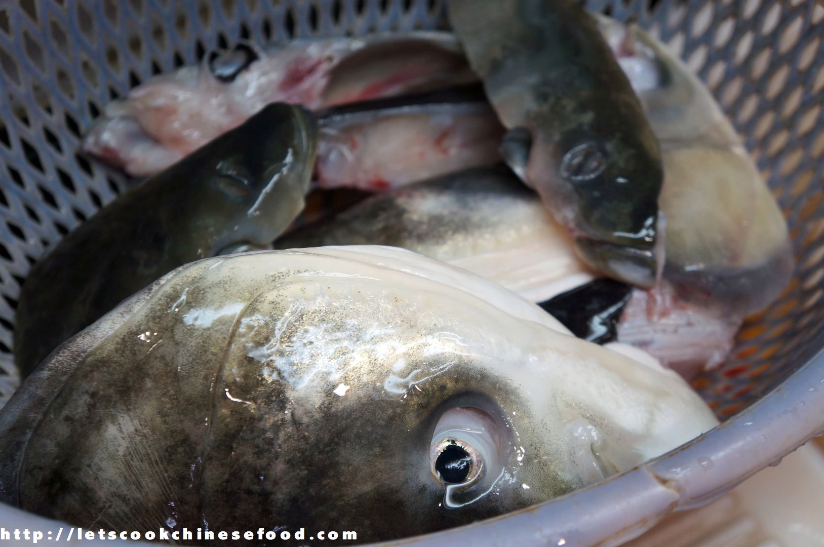 Chinese Recipe Braised Fish Head with Bean Curd Stick (中式食譜：紅燒魚頭)