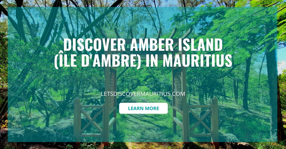 Discover Amber Island (Île d'Ambre) In Mauritius Let's Discover Mauritius