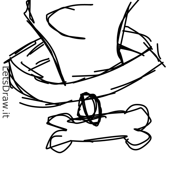 How to draw dog collar / gbcubprws.png / LetsDrawIt