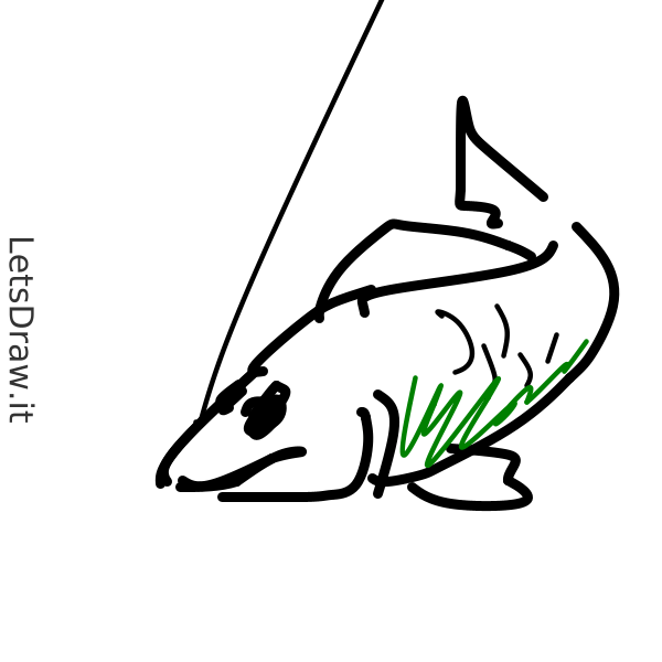 How to draw fishing / i7c1dxu74.png / LetsDrawIt