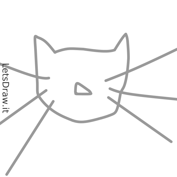 How to draw cat whiskers / m896mnbnr.png / LetsDrawIt