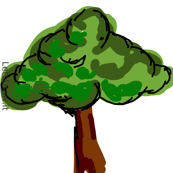 How to draw trees / p57ko6ayq.png / LetsDrawIt