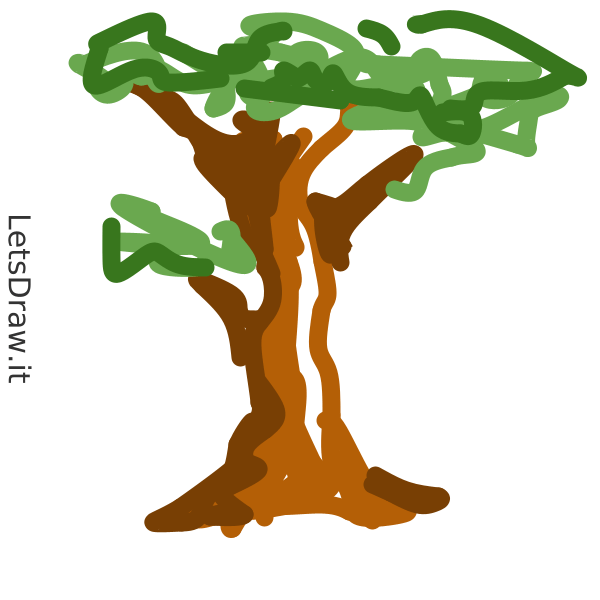 How to draw trees / sitn8bt97.png / LetsDrawIt