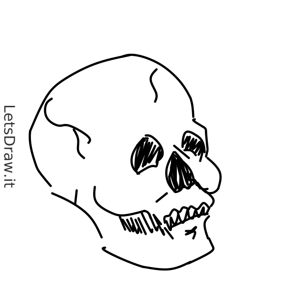 How to draw skull / y8y3dmbxq.png / LetsDrawIt