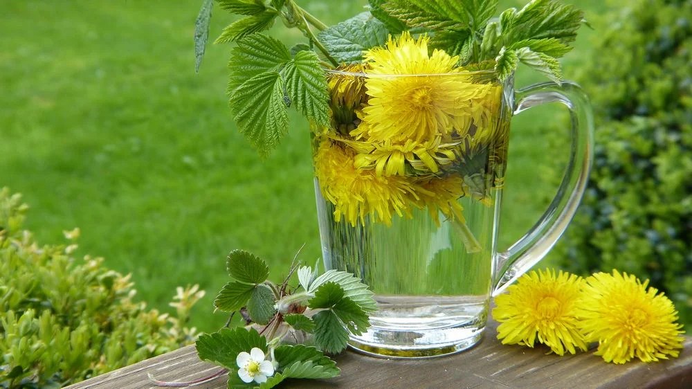 Best Herbal Tea Brands (High Quality Teas At Great Prices)