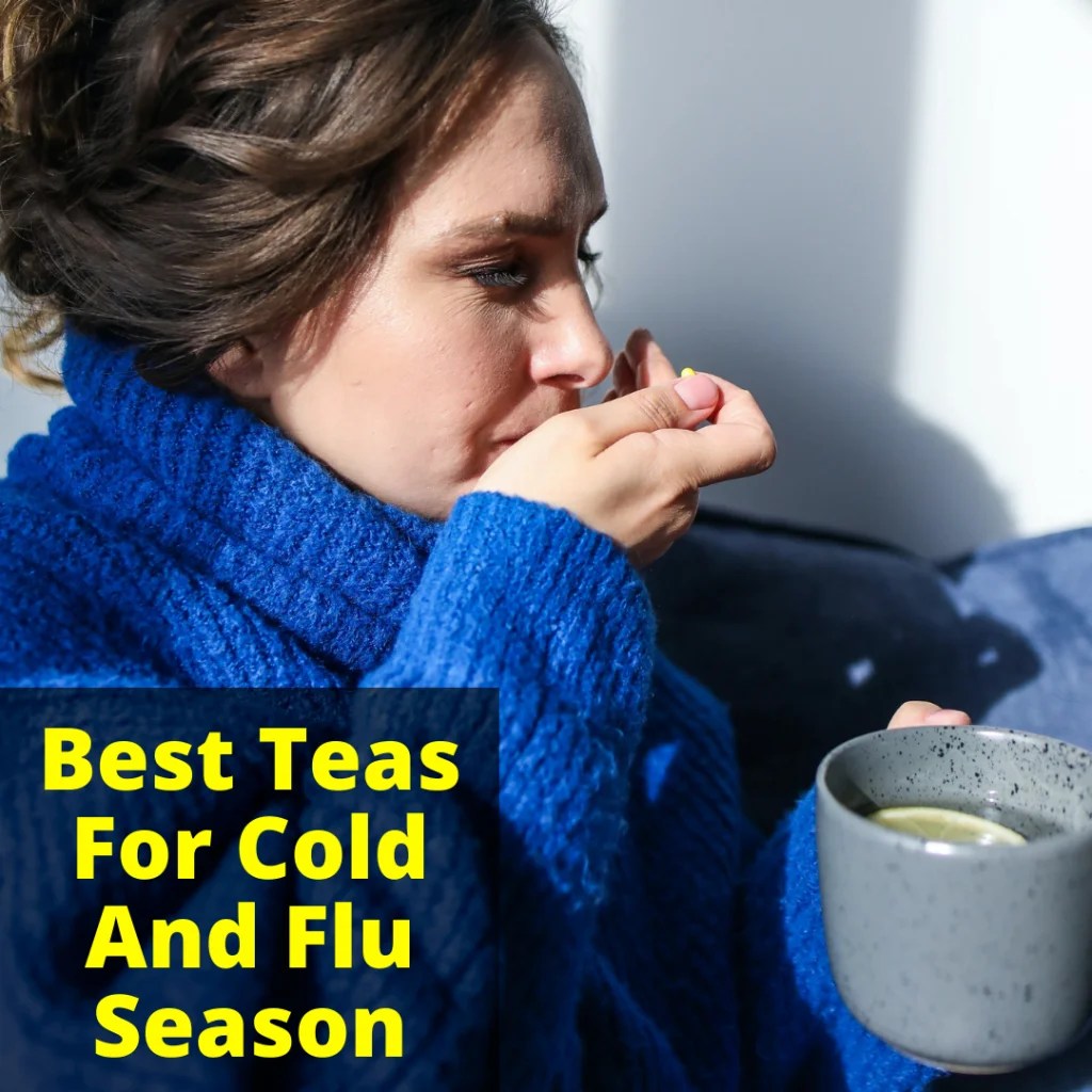 Tea For Flu (Best Teas For Cold And Flu Season)