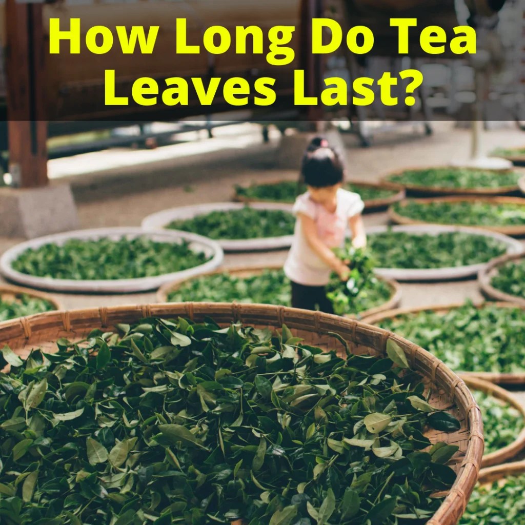 How Long Do Tea Leaves Last?