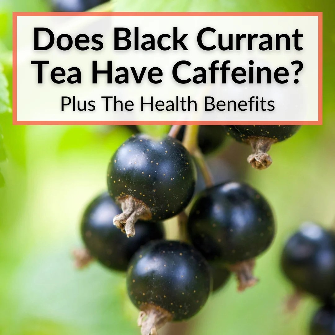 Does Black Currant Tea Have Caffeine? (Plus The Health Benefits)