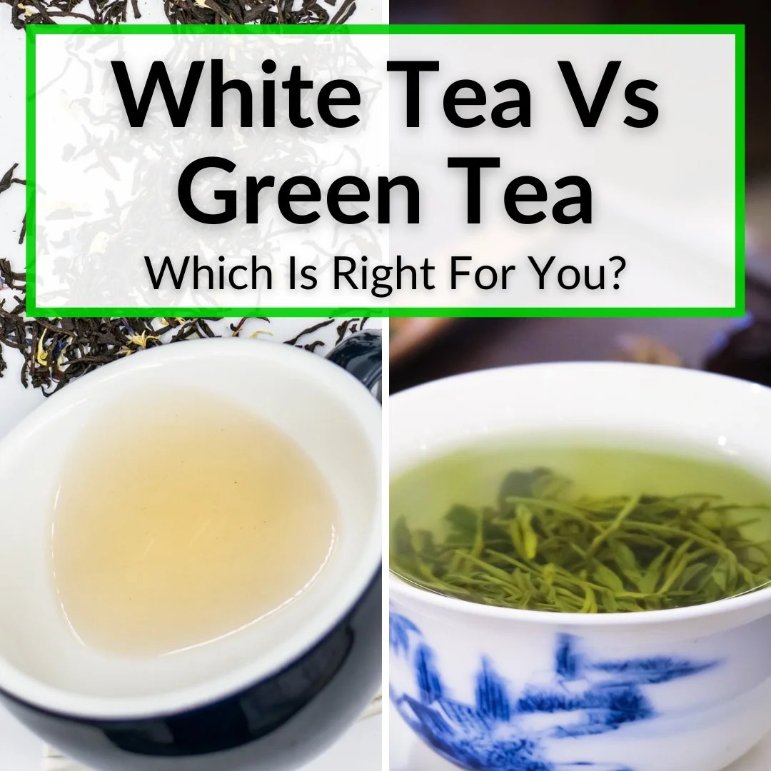 White Tea Vs Green Tea (Which Is The Better Choice For You?)