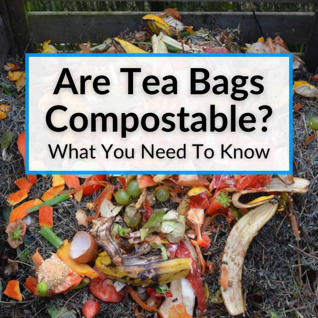 Are Tea Bags Compostable? (What You Need To Know)