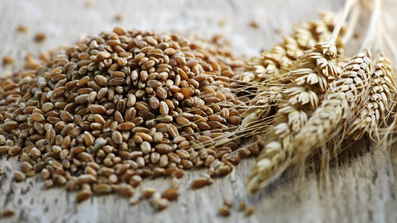 Why are whole grains good for your health? Let's Eat Balanced