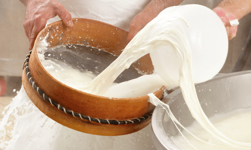 Muenster vs Mozzarella What's the Difference? Let's Foodie