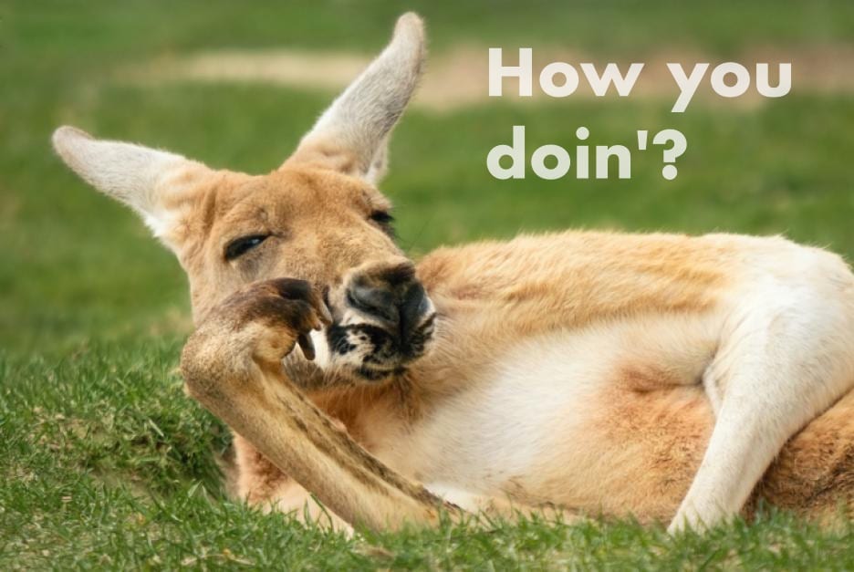 Kangaroos Have Been Hopping around Australia for over 20 Million Years