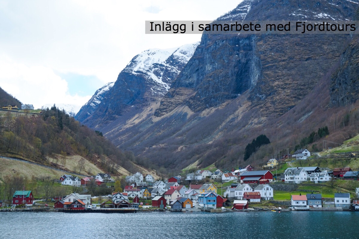 Att uppleva fjordar; När resan är målet (Om i ett nötskal