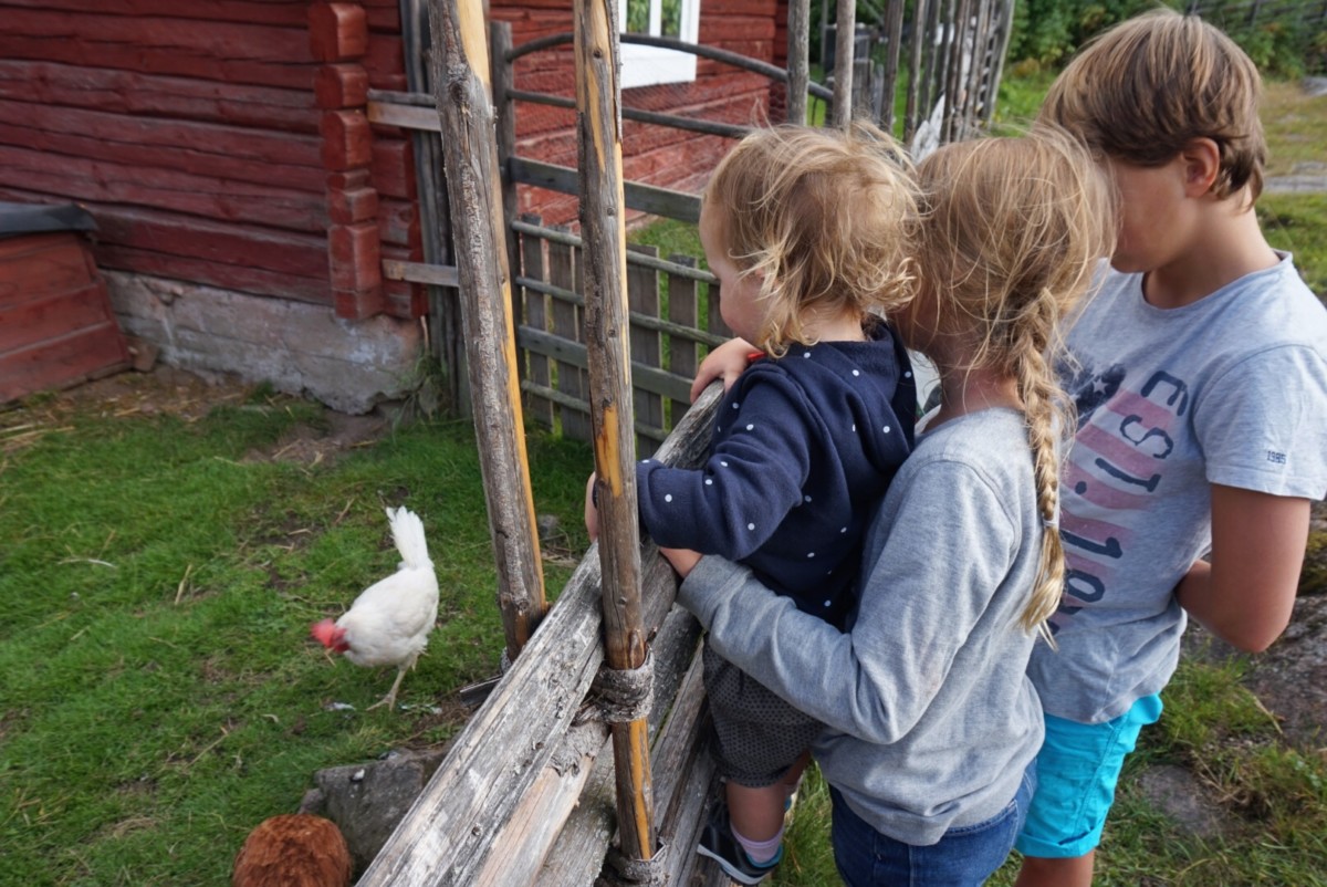 Att göra i Dalarna med barn tips till roliga sommaraktiviteter