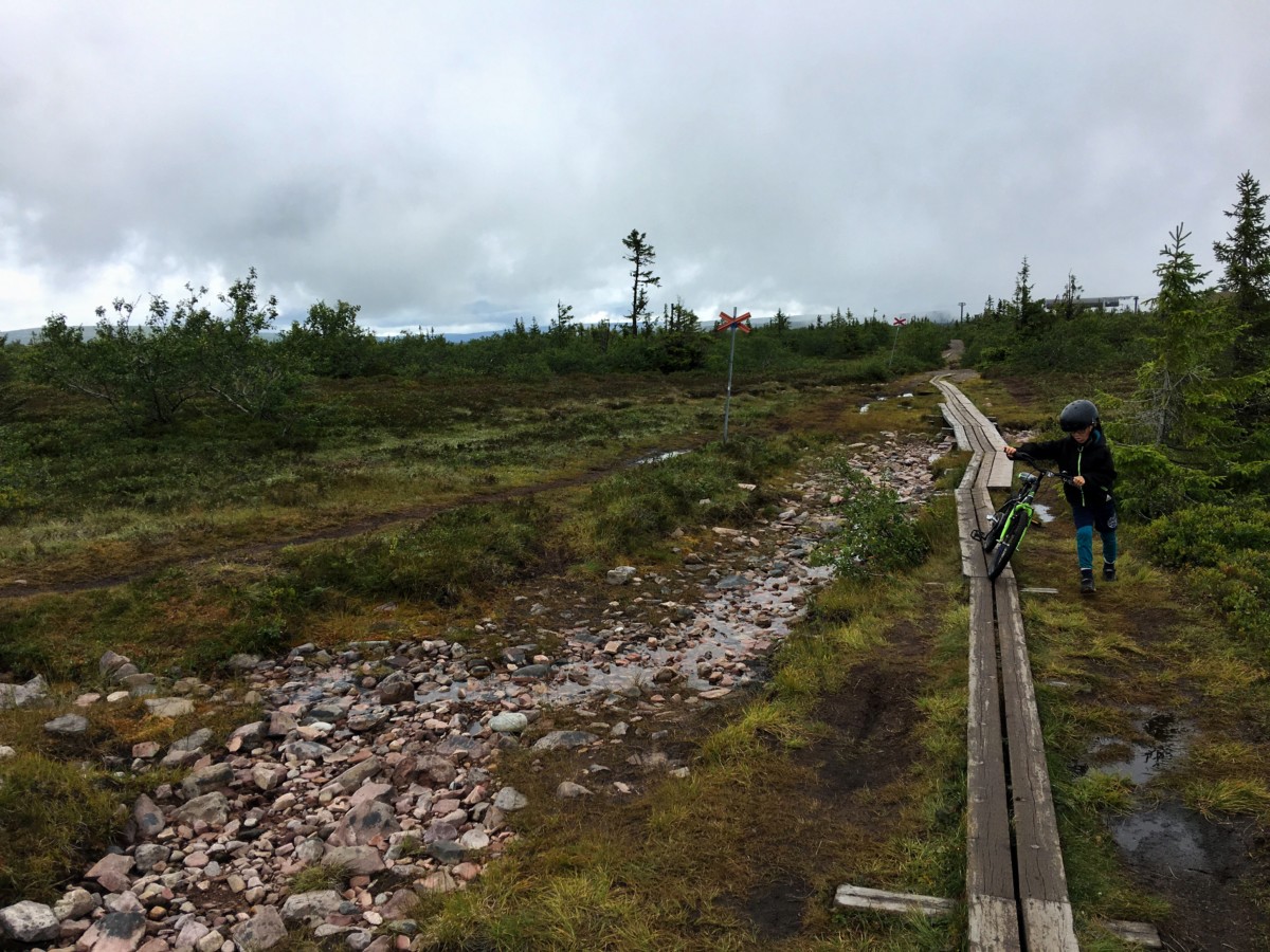 Sälen med barn på sommaren tips på saker att göra och ställen att besöka