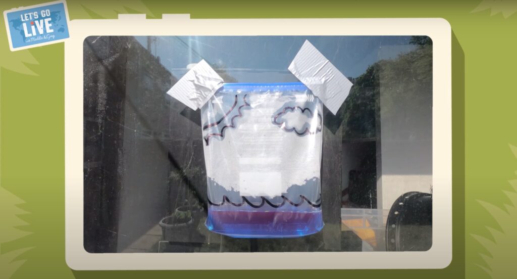 Make a cloud in a bag (The Water Cycle) Let's Go Live