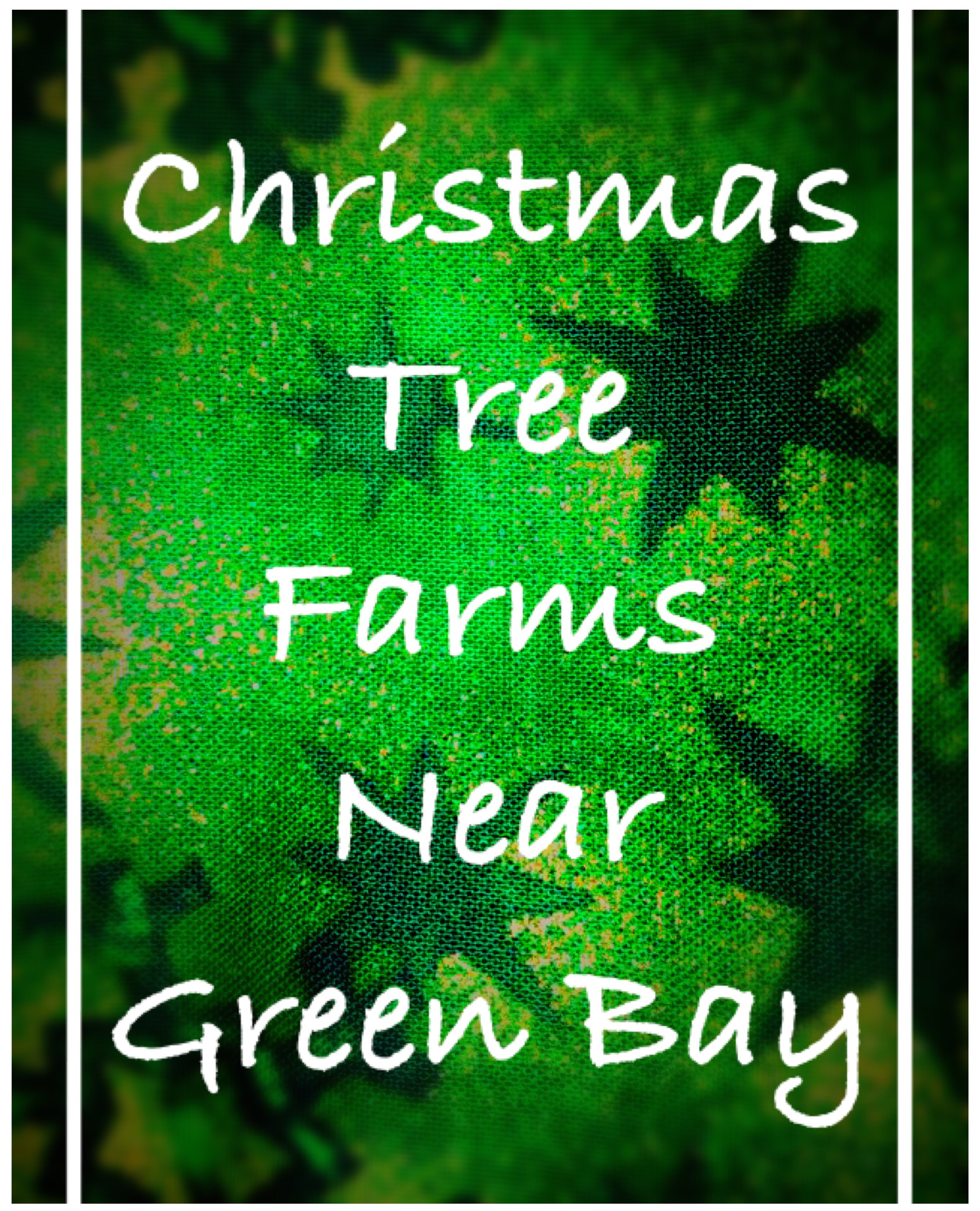 7 Christmas Tree Farms near Green Bay Kids Events in the Green Bay Area