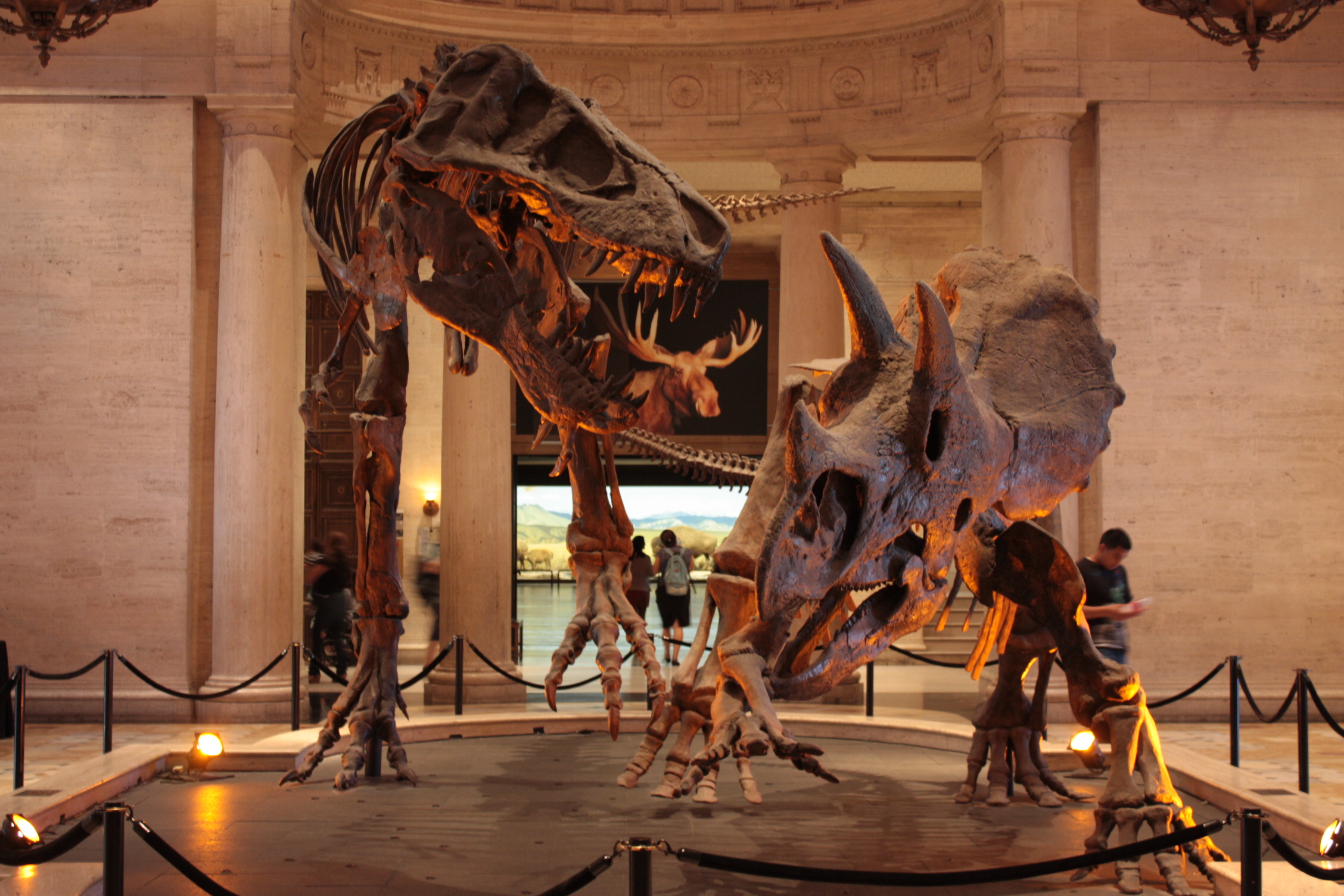 Natural History Museum of Los Angeles County Let's Go To The Museum