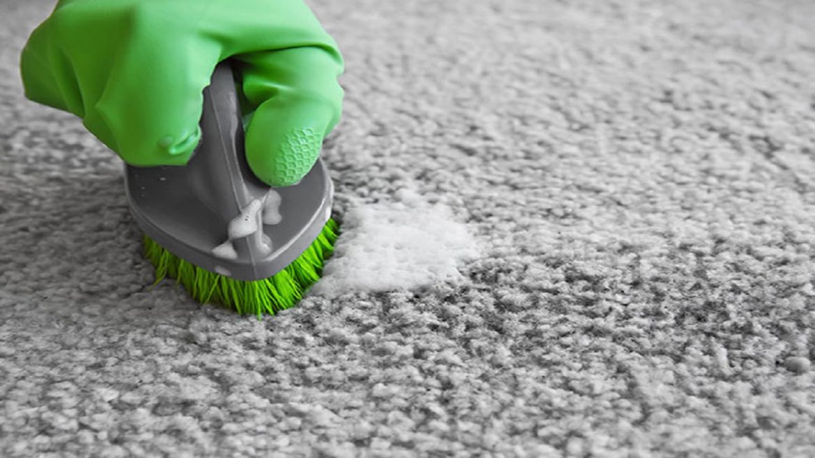 Eliminate Pet Odours and Stains with Our Expert Carpet Cleaning