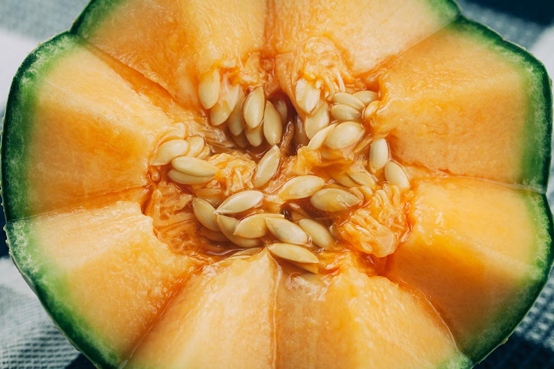 Honigmelone wenig Kalorien, super gesund und richtig erfrischend gut
