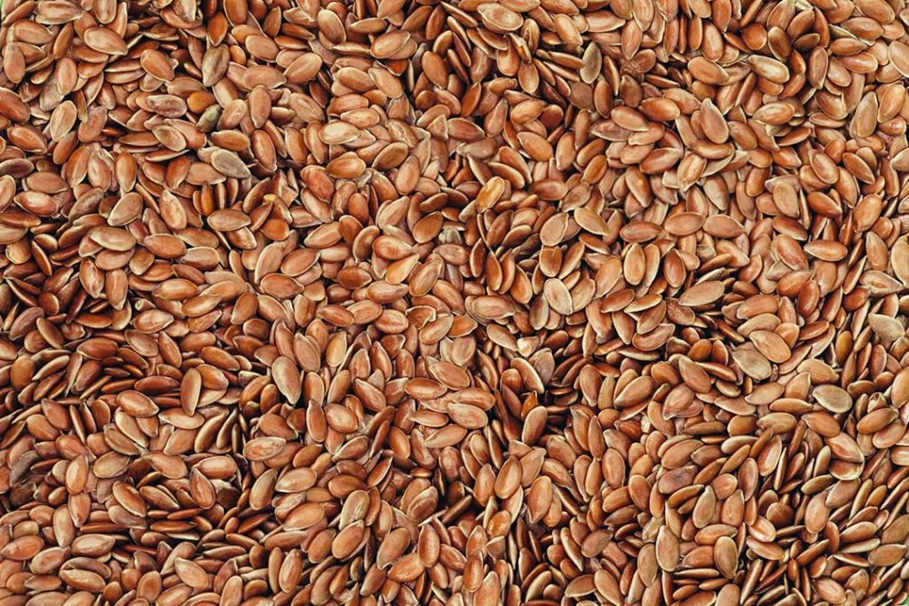 Gesunde Leinsamen geschrotet oder als Leinöl Das gibt es zu beachten