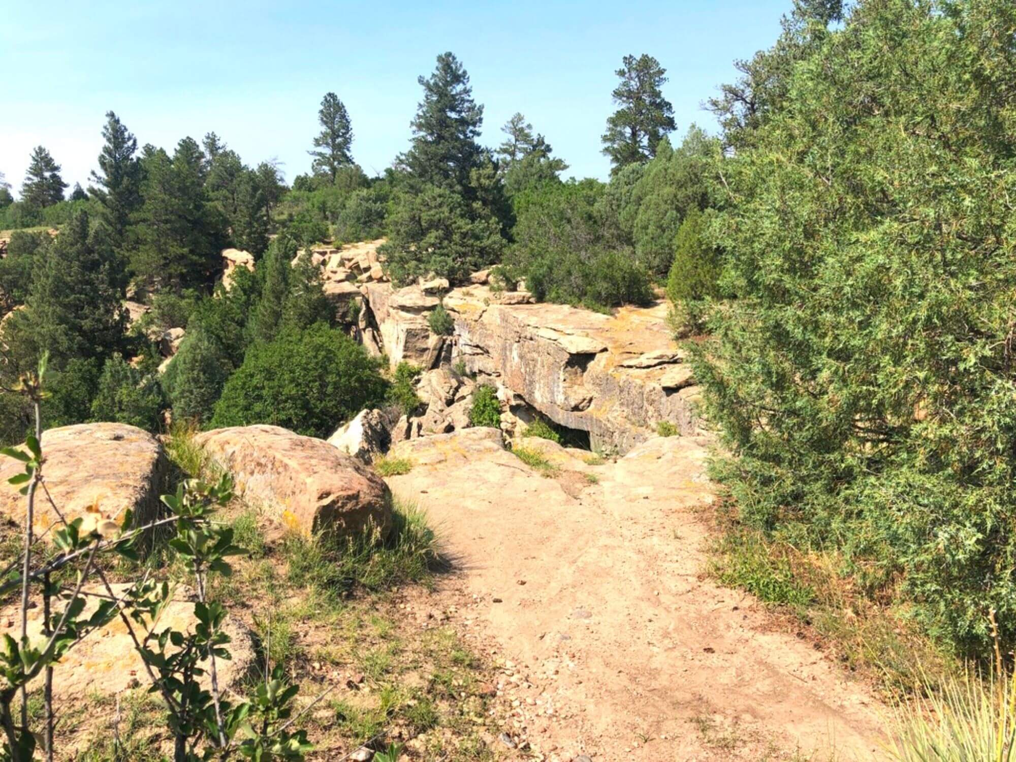 Hiking Castlewood Canyon State Park Beautiful Trails with Kids