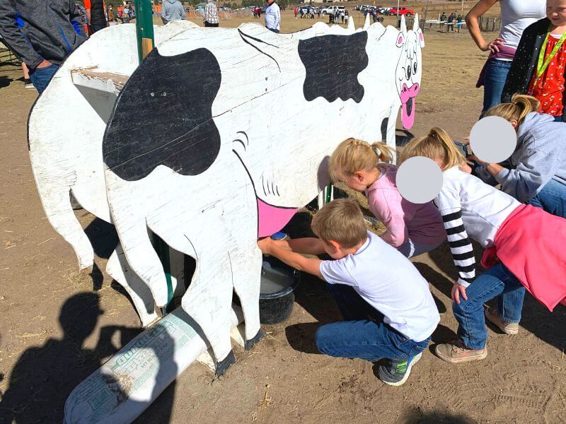 15 Best Pumpkin Patches in Colorado