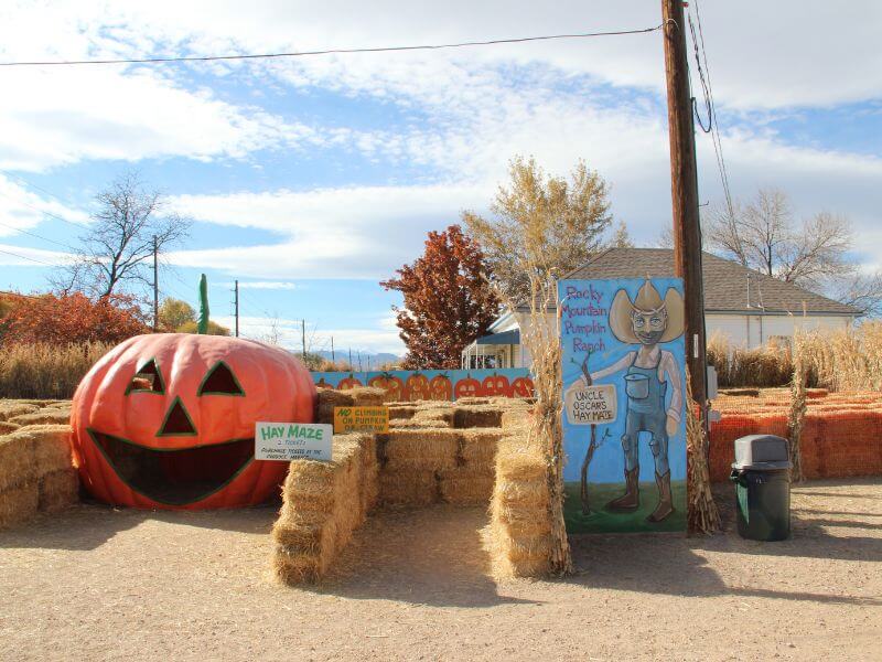 15 Best Pumpkin Patches in Colorado