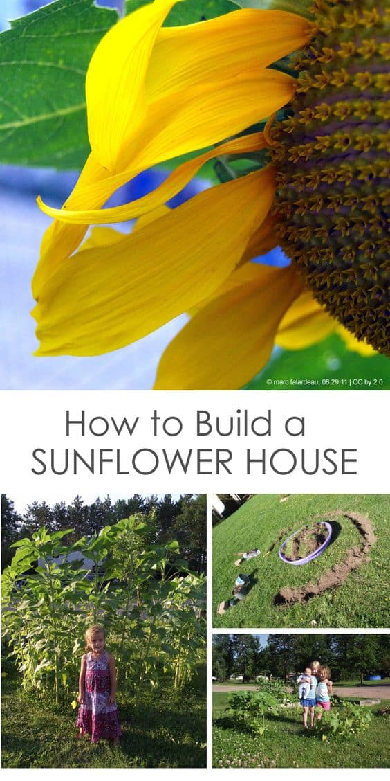How to Build a SunflowerHouse With Kids — The ULTIMATE Kids' Garden!