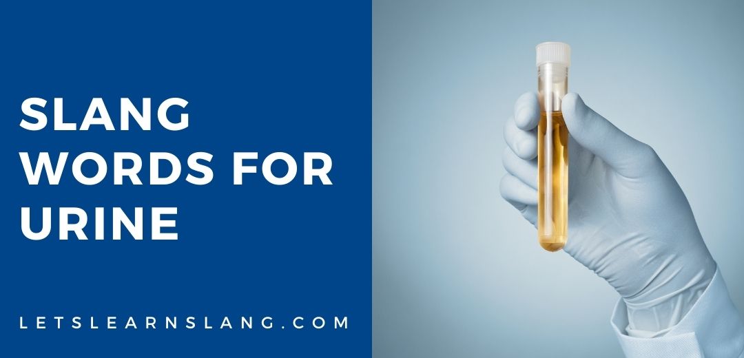 15+ Slang Words For Urine (And How To Use Them)