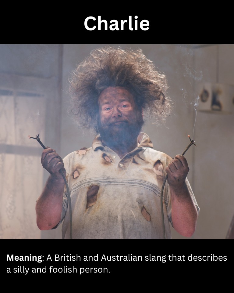 British Slang For Stupid Person (12 Examples) Lets Learn Slang