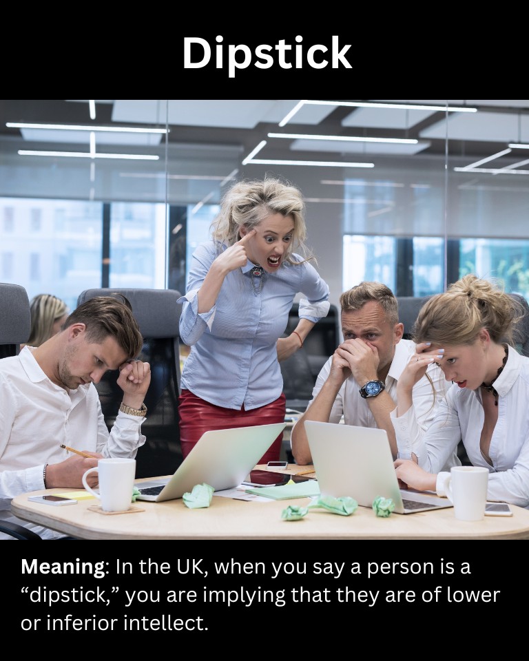 British Slang For Stupid Person (12 Examples) Lets Learn Slang