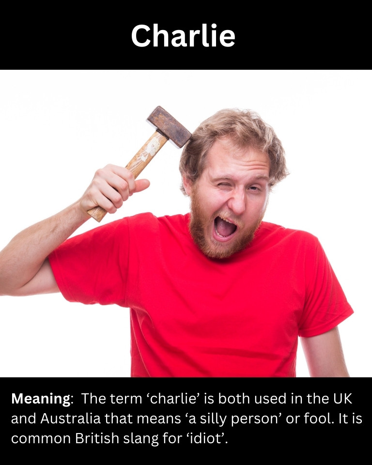 British Slang For Idiot (10 Examples) Lets Learn Slang