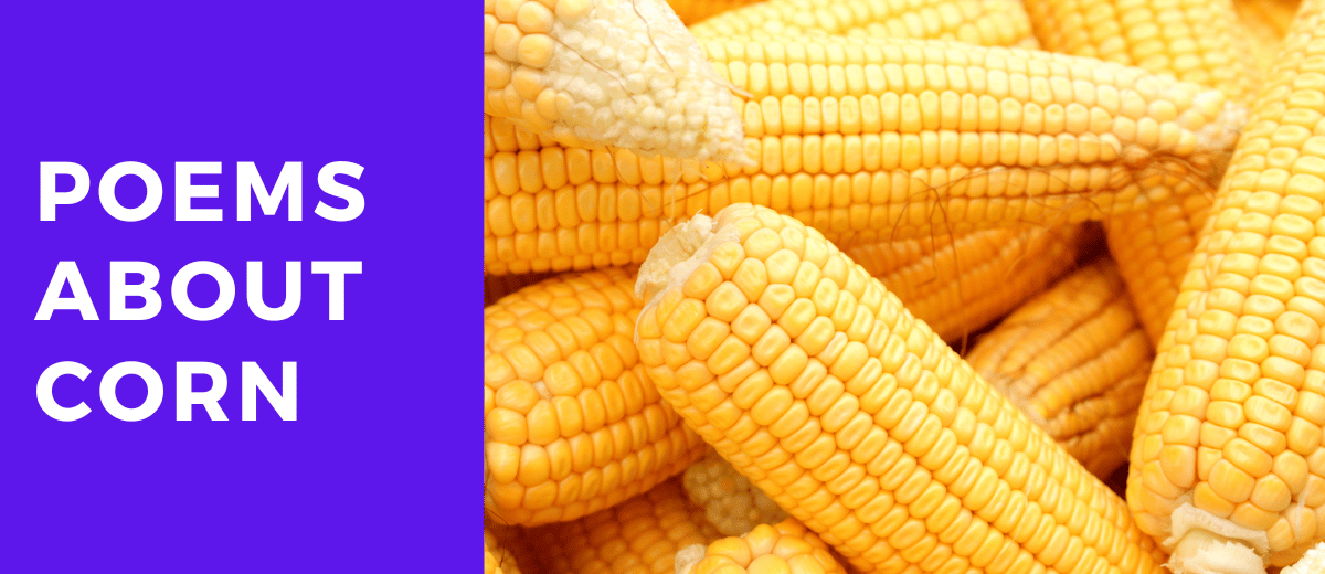 5 Poems About a Corn That Celebrate the Nourishment and Versatility of