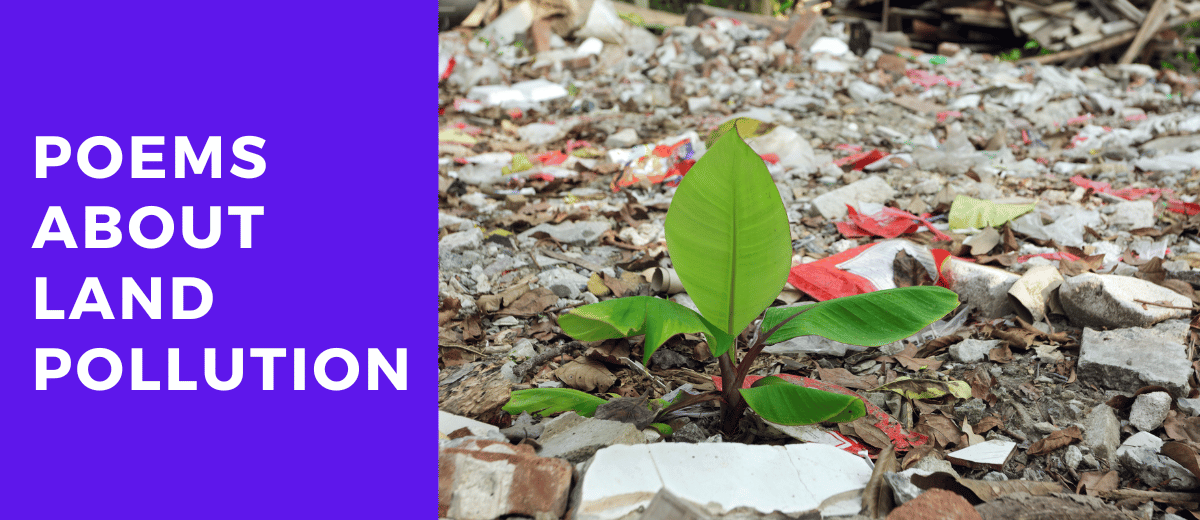 5 Poems About Land Pollution That Will Make You Think Twice About Our
