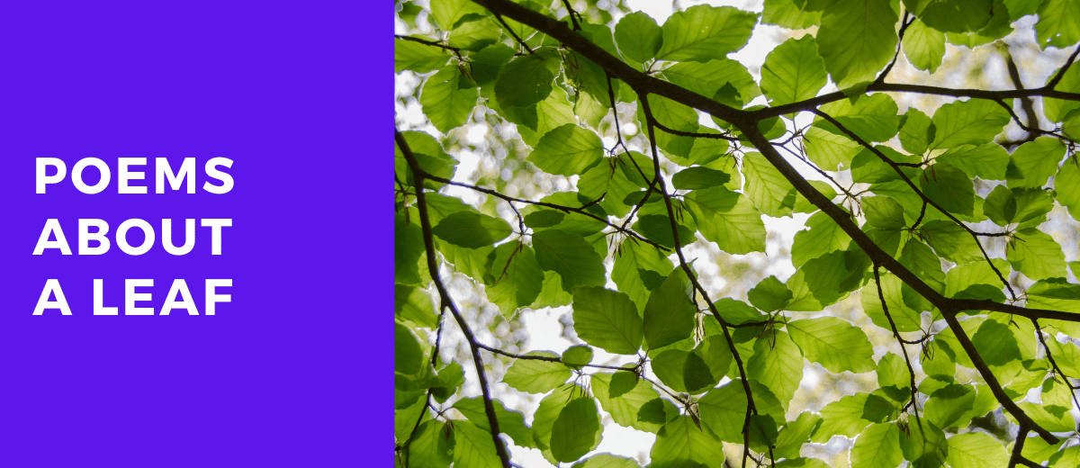 5 Poems About a Leaf That Will Take Your Breath Away Lets Learn Slang
