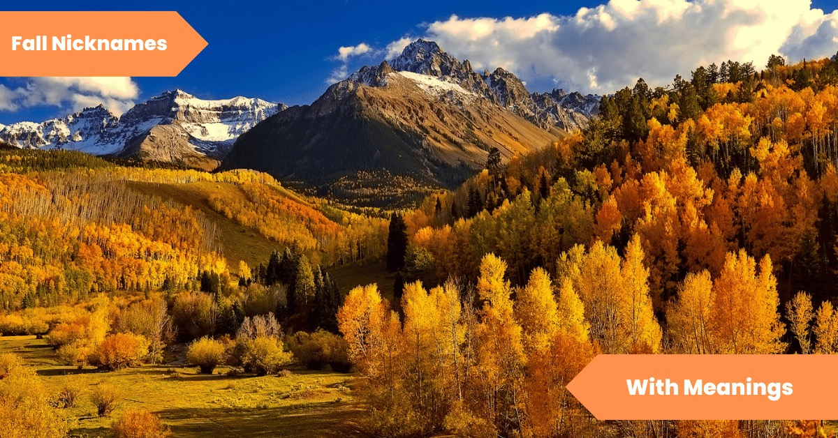 101 Fall Nicknames Cozy, Creative Ideas to Embrace the Autumn Spirit