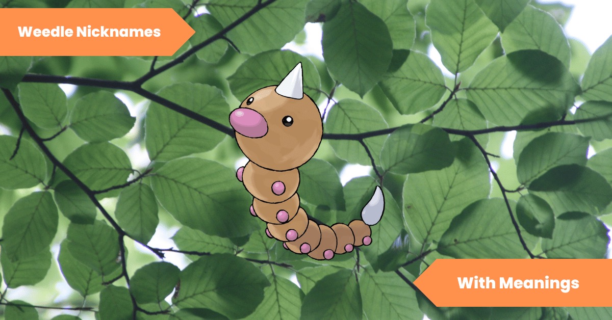 101 Weedle Nicknames Creative Name Ideas for Your Pokémon Companion