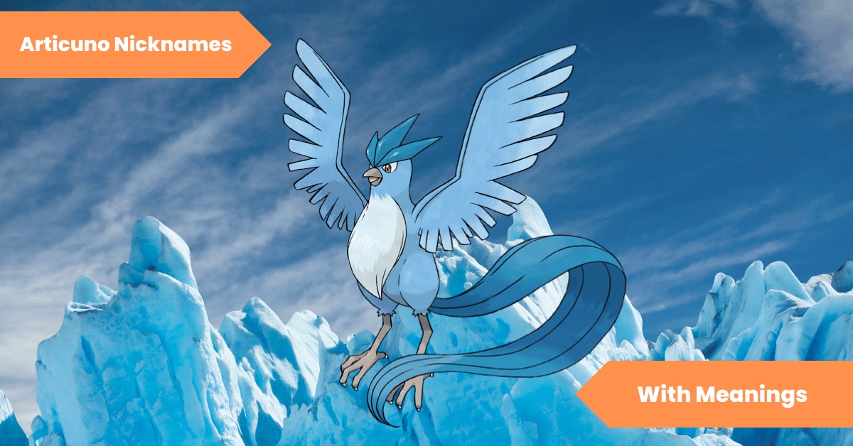 101 Articuno Nicknames Creative and Hilarious Name Ideas for Your Ice