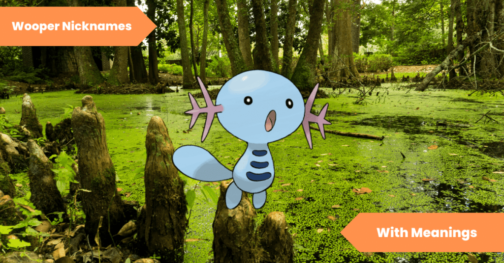 83 Wooper Nicknames Unleash the Fun with These Hilarious and Unique Name Ideas! Lets Learn Slang