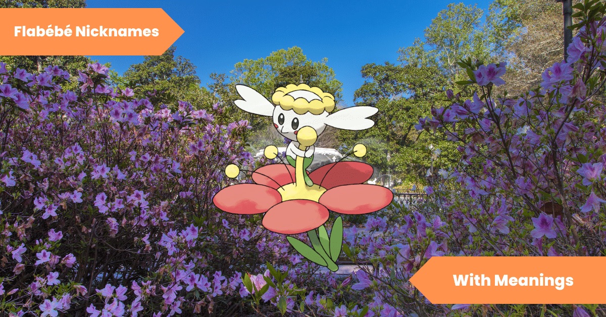 101 Flabebe Nicknames for the Flower Bud Pokemon Lets Learn Slang