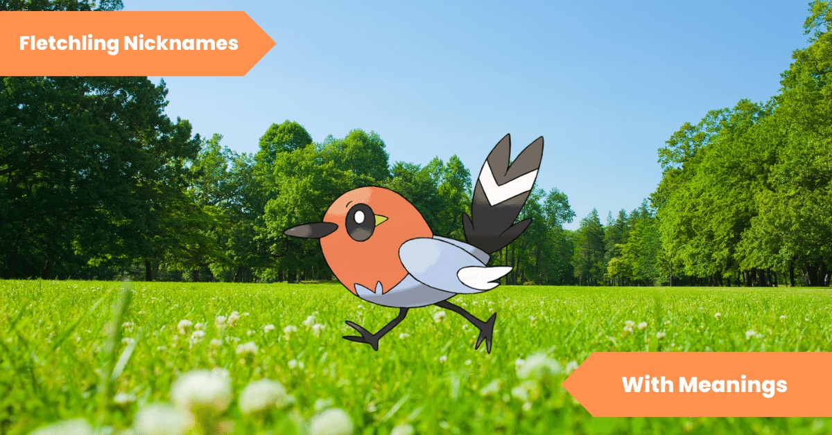 101 Fletchling Nicknames for the Hot Hatchling Pokemon Lets Learn Slang