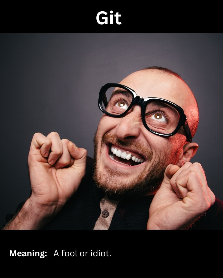 101+ British Slang Insults List)